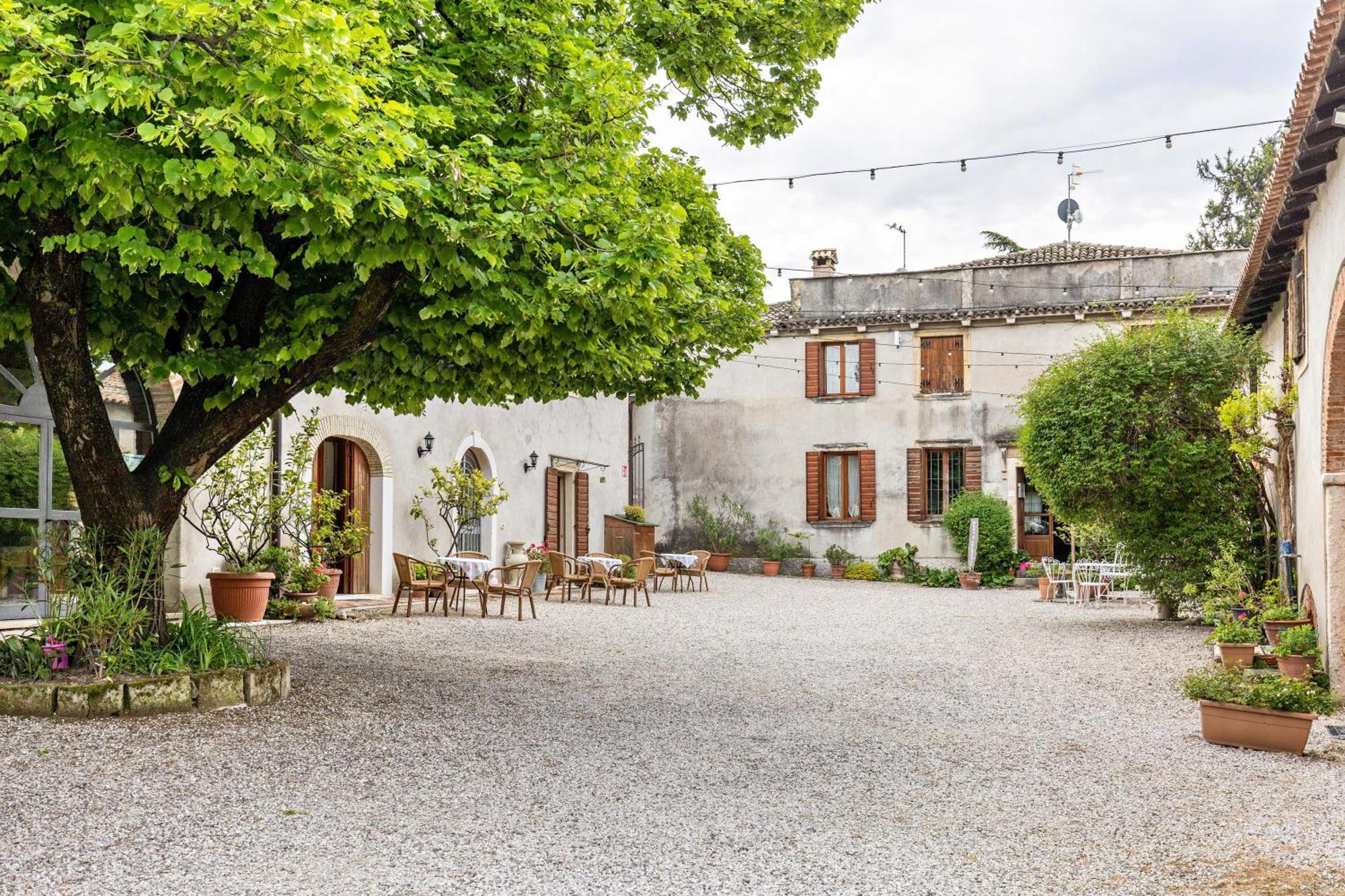 Agriturismo Della Pieve Бардолино Экстерьер фото